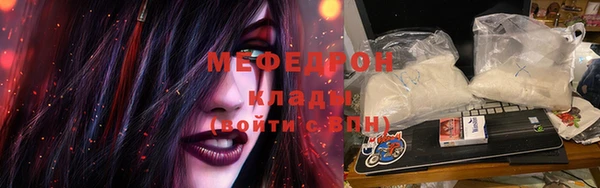шишки Заволжье