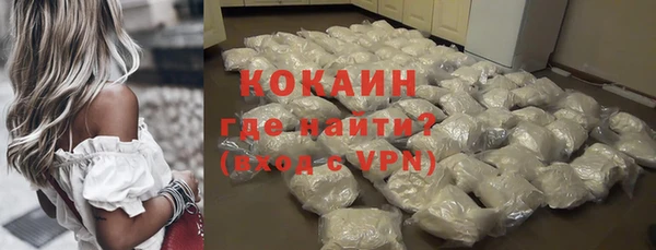 шишки Заволжье