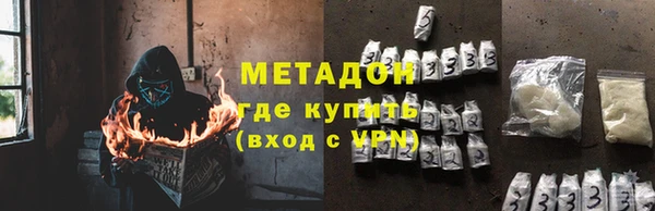 шишки Заволжье