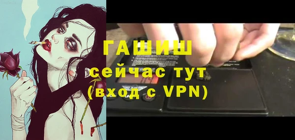 шишки Заволжье