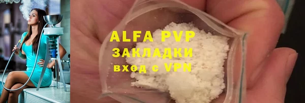 шишки Заволжье