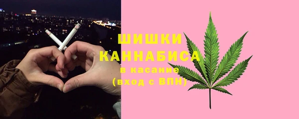 спиды Заводоуковск