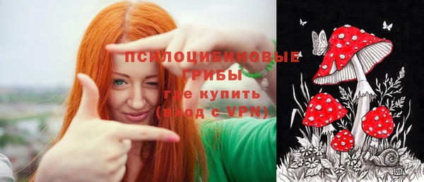 спиды Заводоуковск
