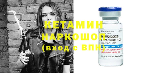 шишки Заволжье