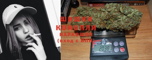 шишки Заволжье